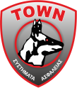 townsecurity.gr